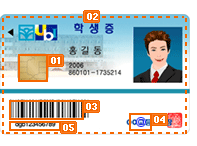 C형 앞면